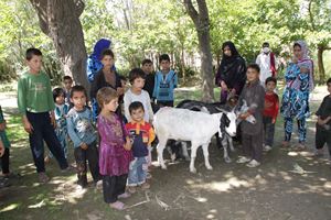 img_0852_2871120_699426