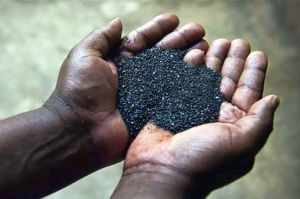 4coltan-mani-bd_1384386