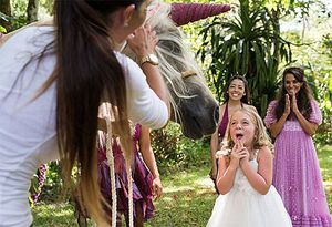 091014-cc-unicorn-wish-1-img_1600027