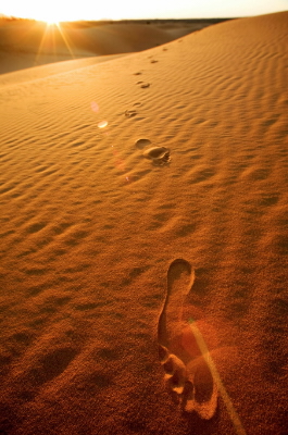 In cammino con i poveri – Walking with the&nbsp;poor