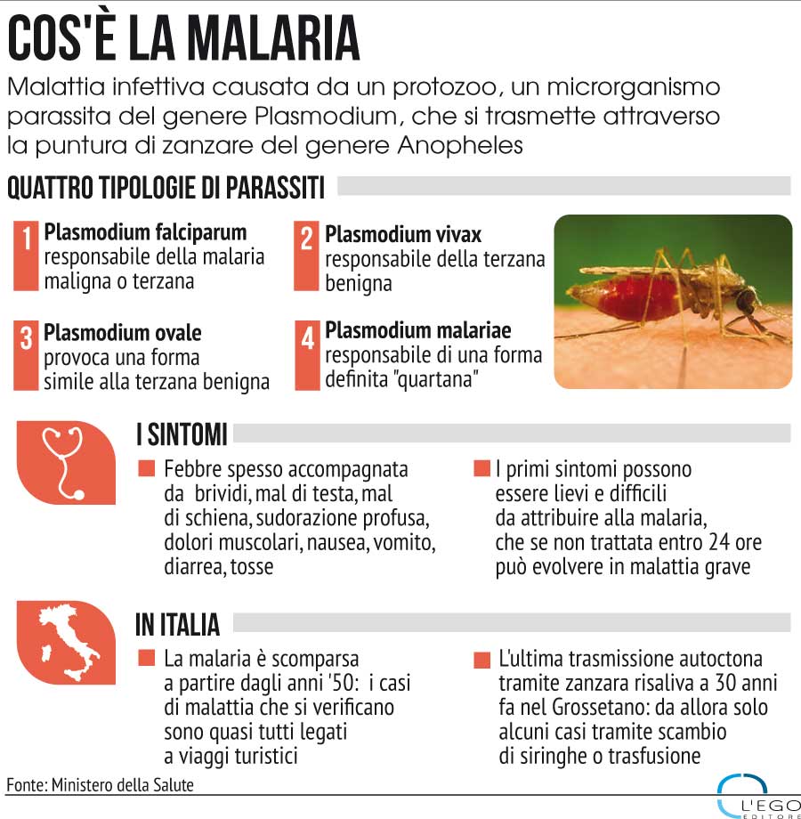 Quando la malattia è vera – When the disease is&nbsp;true