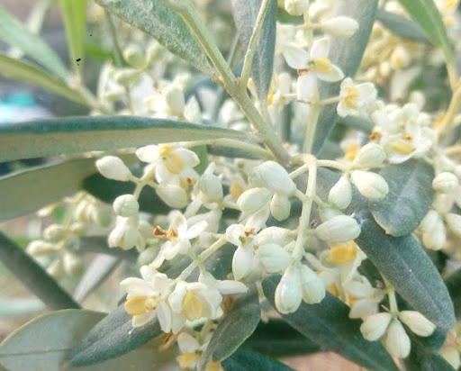 Il messaggio di Gesù immutato (e inascoltato) da duemila&nbsp;anni