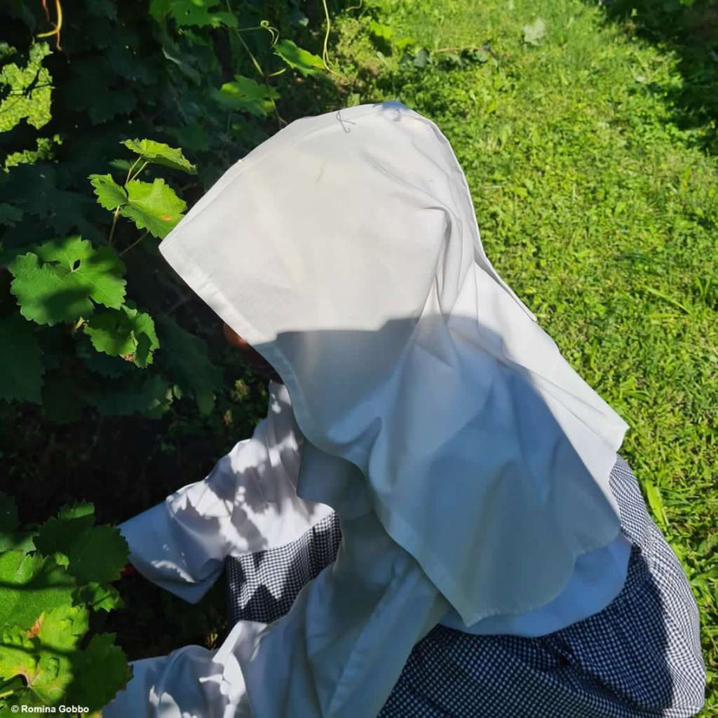 Vittorio Veneto, ecco il Prosecco DOCG Abbazia che nasce tra le mura del monastero&nbsp;cistercense